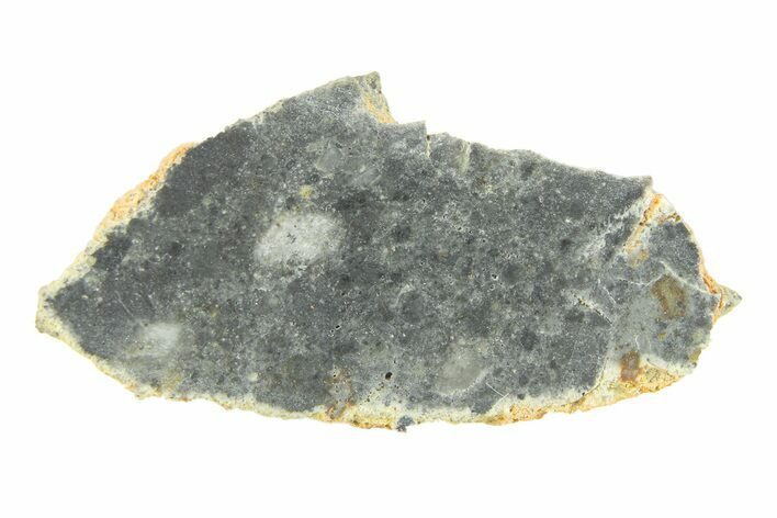 Lunar Meteorite ( g) Slice - Bechar #291718